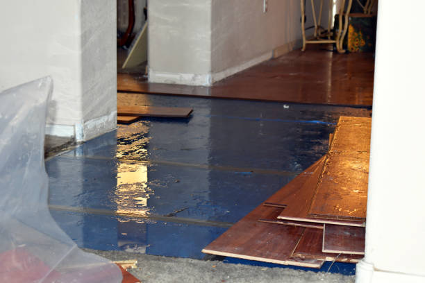 Professional Water Extraction technician working in Stratton, ME
